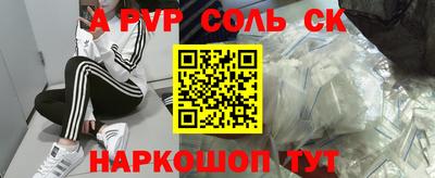 СК Новодвинск